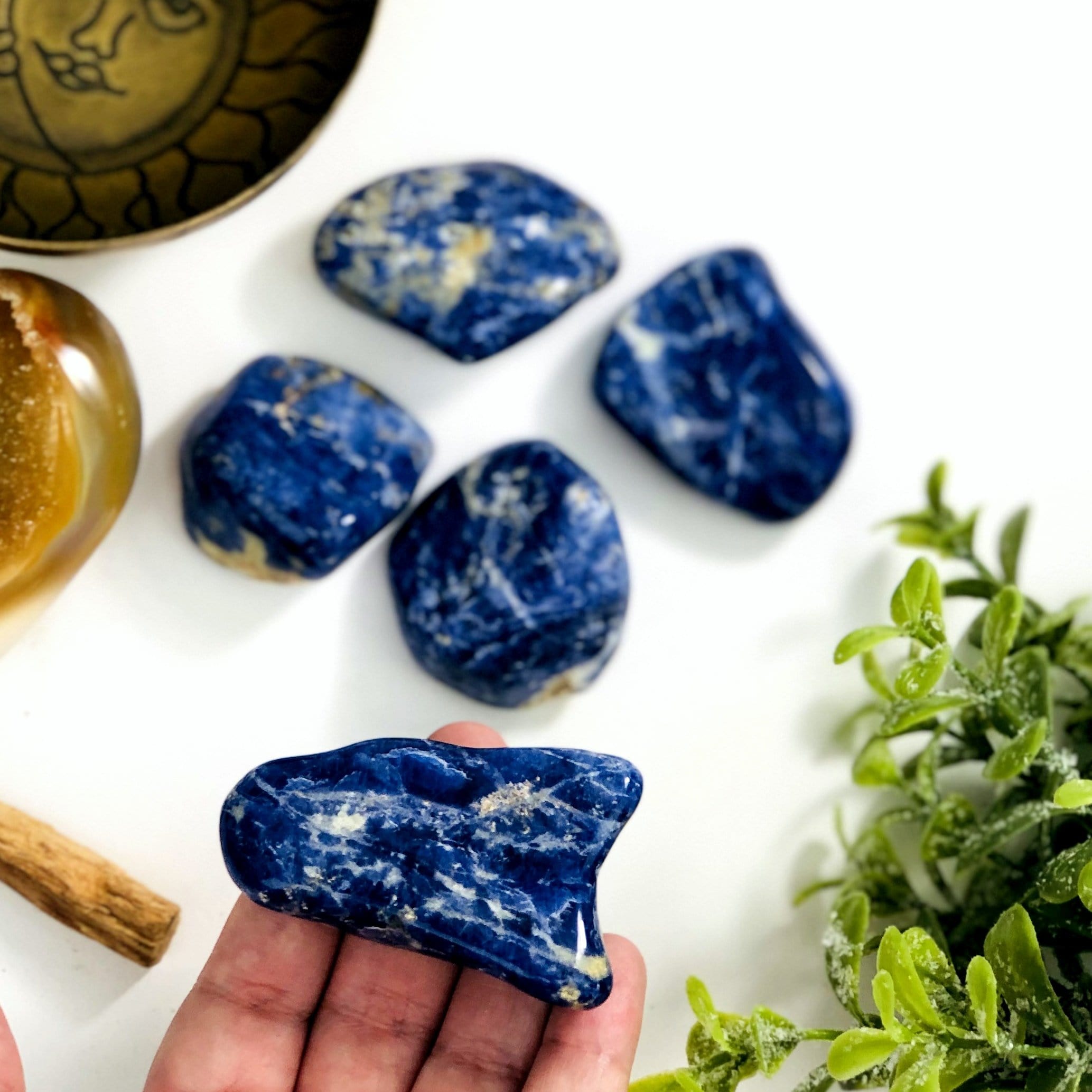 Blue Sodalite Tumbled Stones Gemstones - Polished Stones - Jewelry supplies - Arts and Crafts (TS-84)