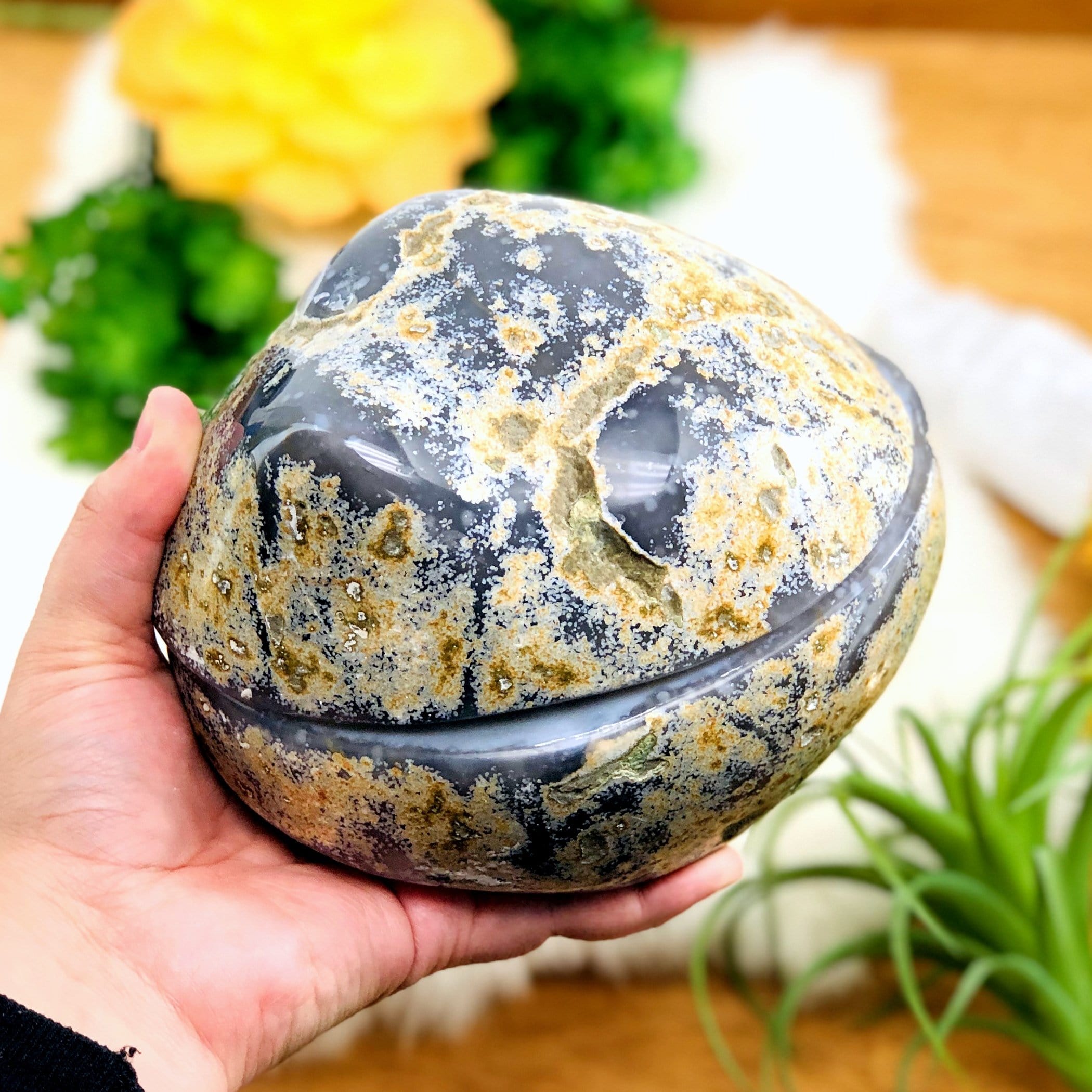 Agate Geode Box - Large Polished (DOOAK-S33-28)