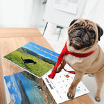 2024 Dogs Pooping in Beautiful Places Calendar