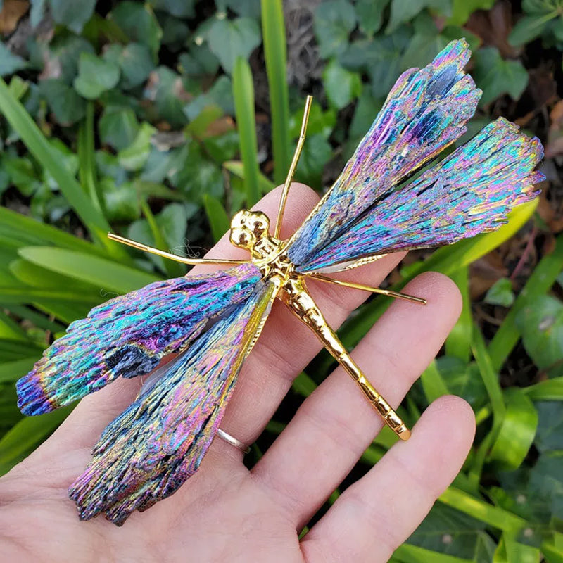 Aura Tourmaline Kyanite Dragonfly