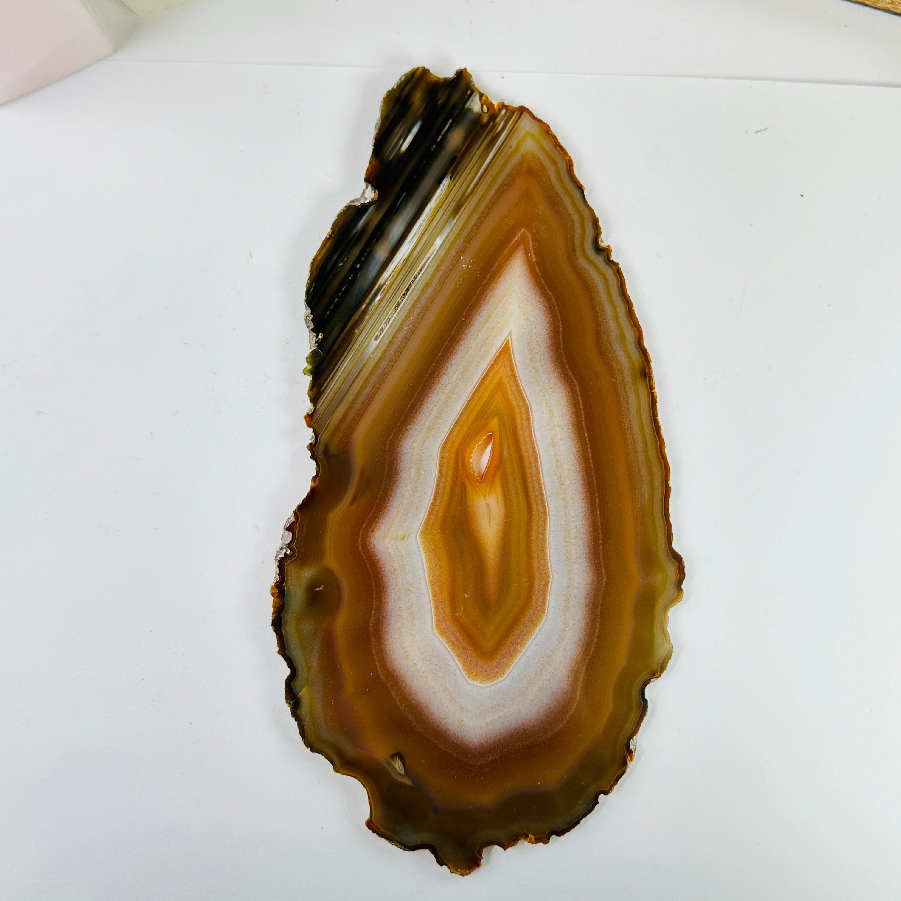 Agate Crystal Slices Set of 3 Slabs