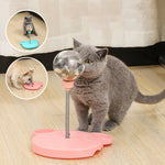 Leaking Treats Ball Pet Feeder Toy