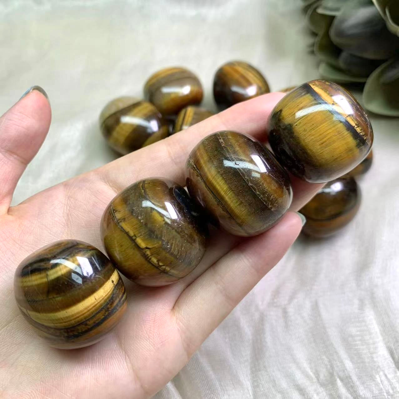 Big Tigers Eye Tumble (over 1 Inch)