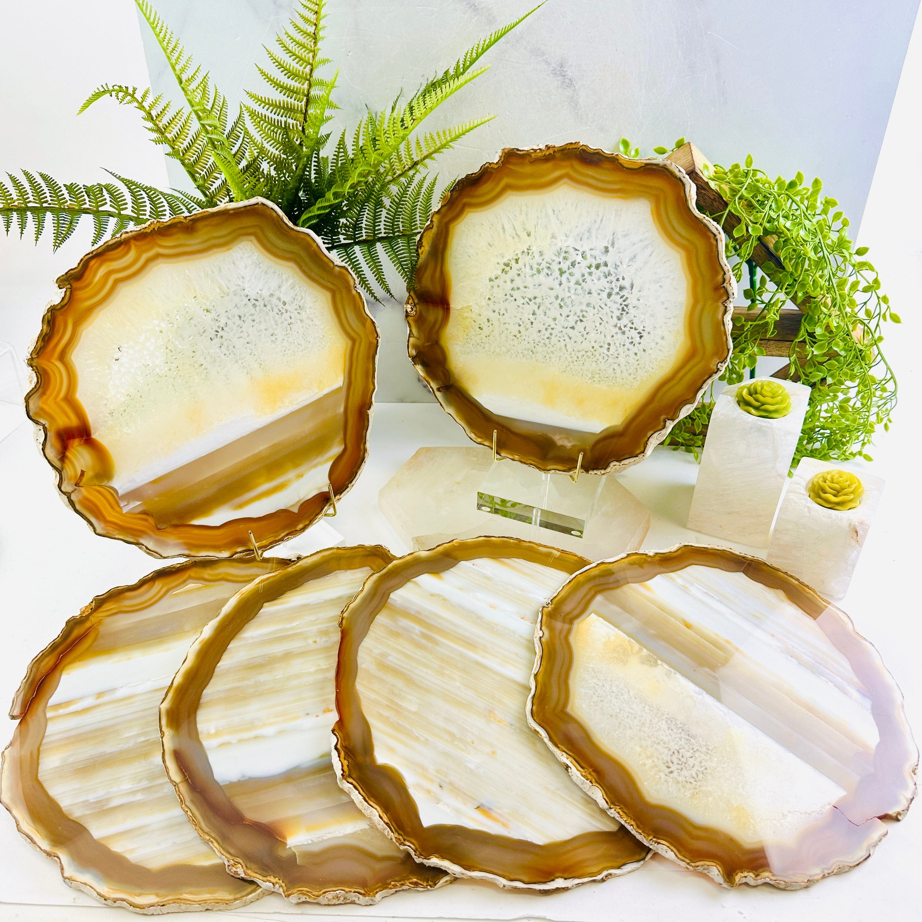 Agate Slice Set - Set of Six Large Grade AA Agate Crystals