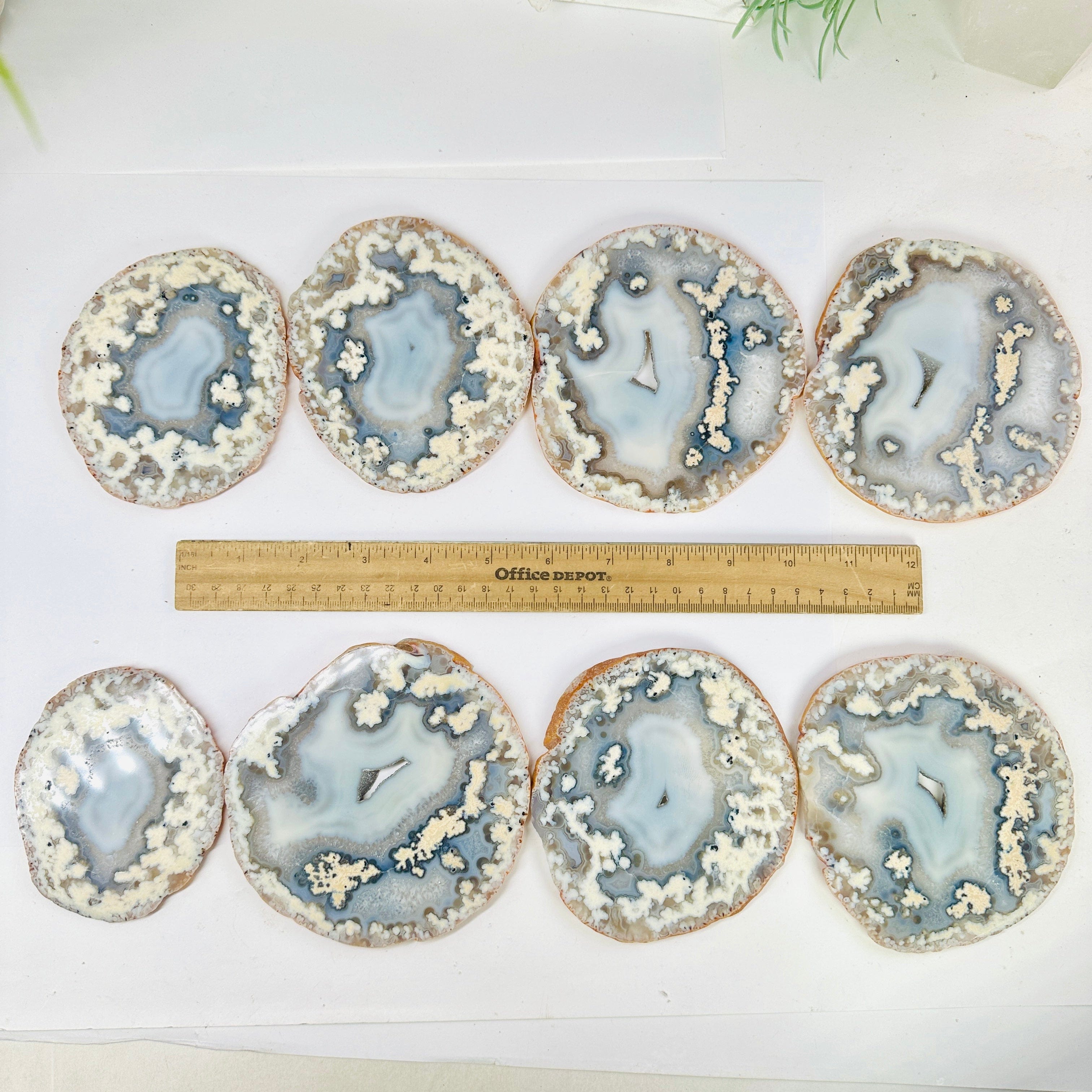 Agate Slice Set - Set of Eight Agate Crystals - High Grade