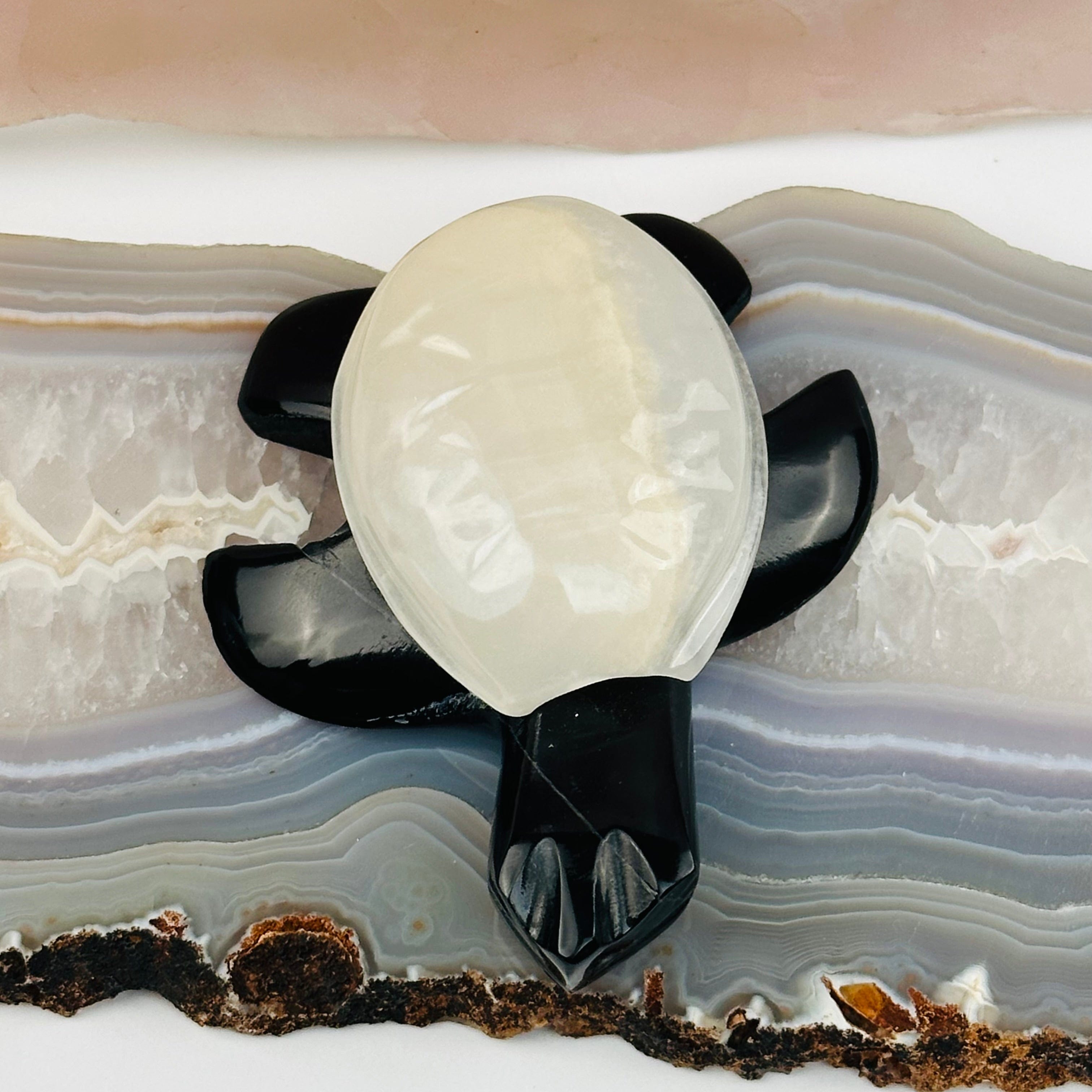 Black Onyx Sea Turtle with Light Onyx Shell