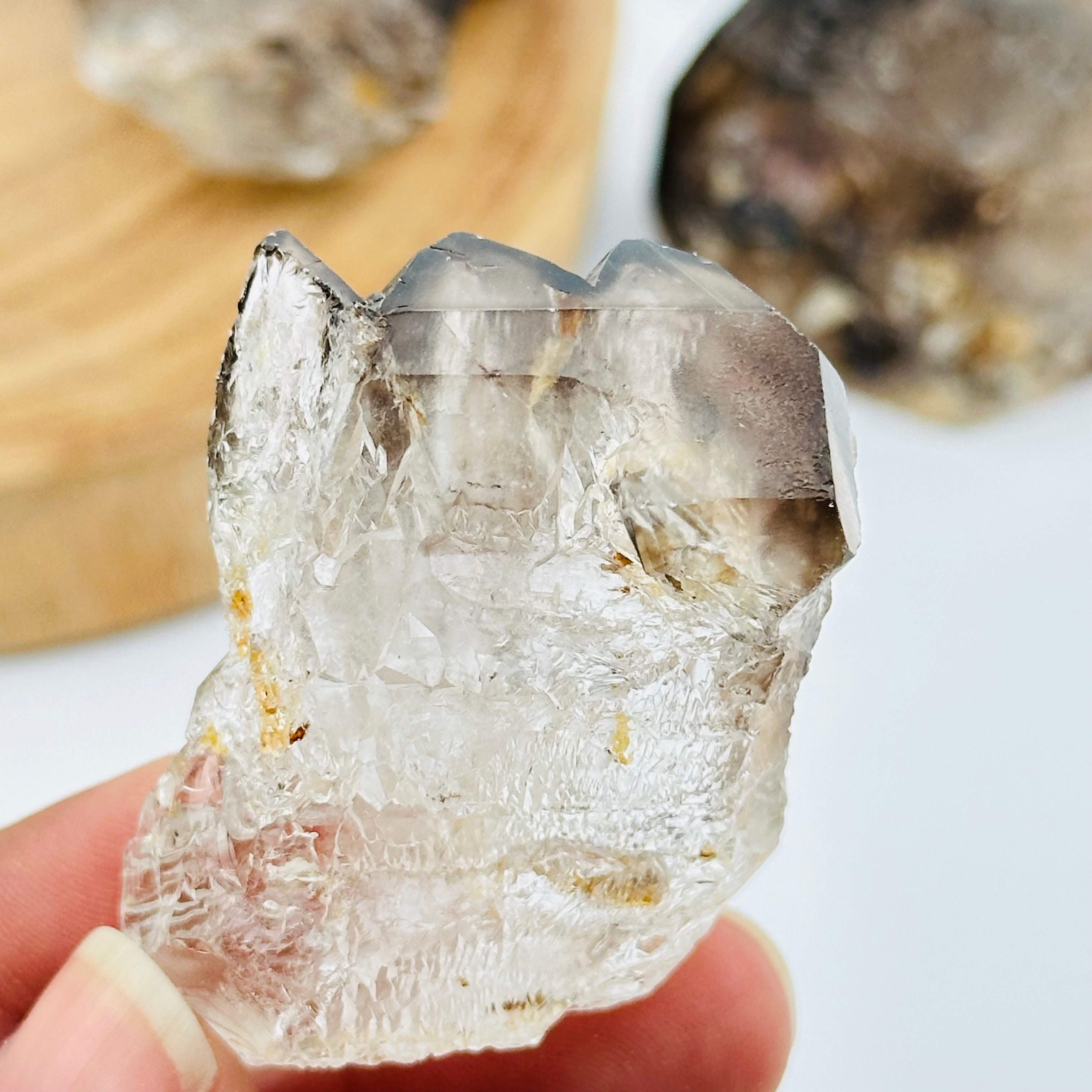 Alligator Smokey Quartz Crystal Cluster