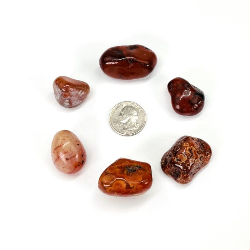 Carnelian Tumbled Gemstones - 1lb - Medium Size (TS-15b)