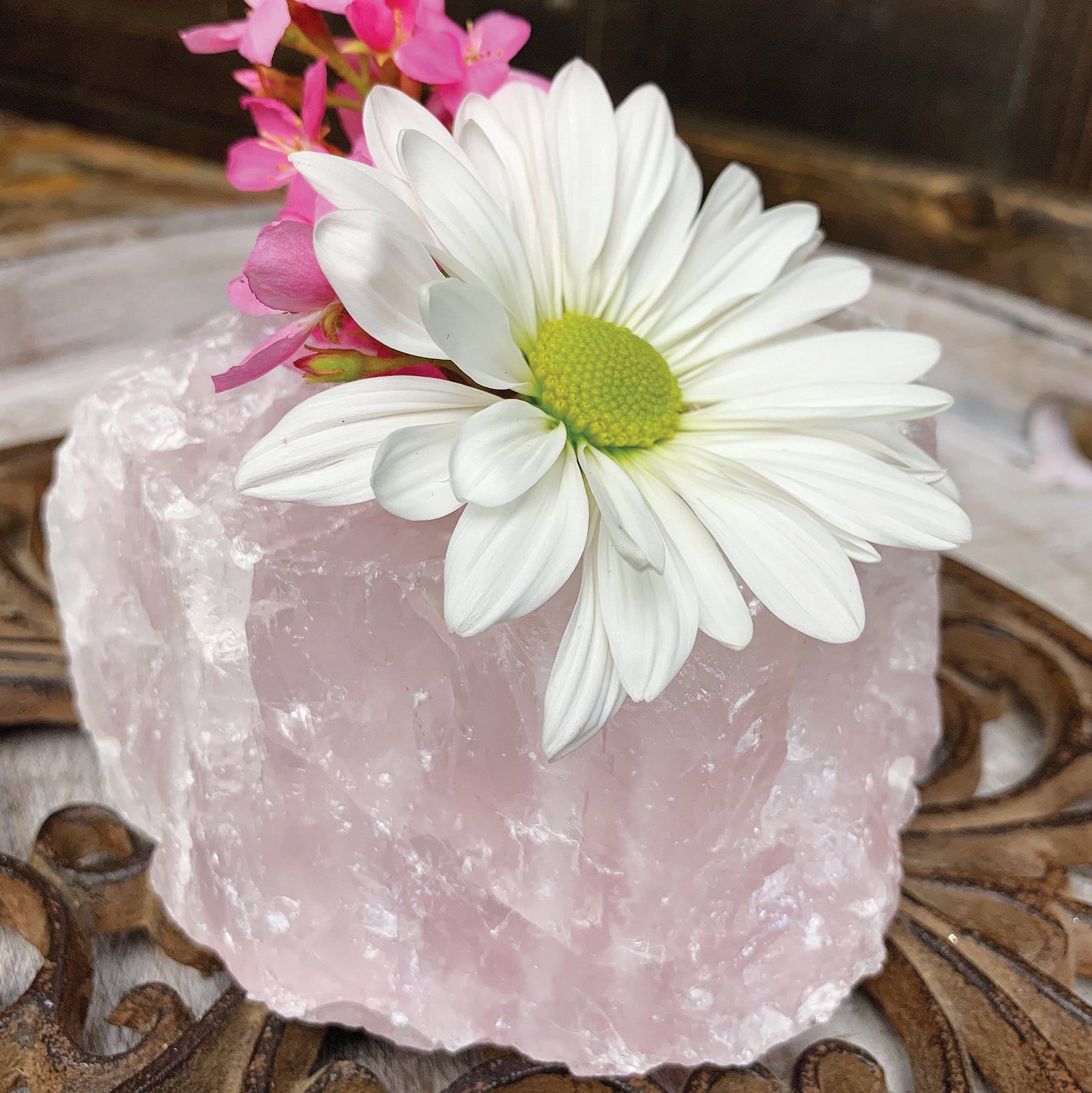 WHOLESALE Crystals - Case Pack BULK LOT - BUY THE BOX 🌸 20 Rose Quartz "B" Candle Holders - SAVINGS