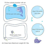 Pet Water Sensory Mat