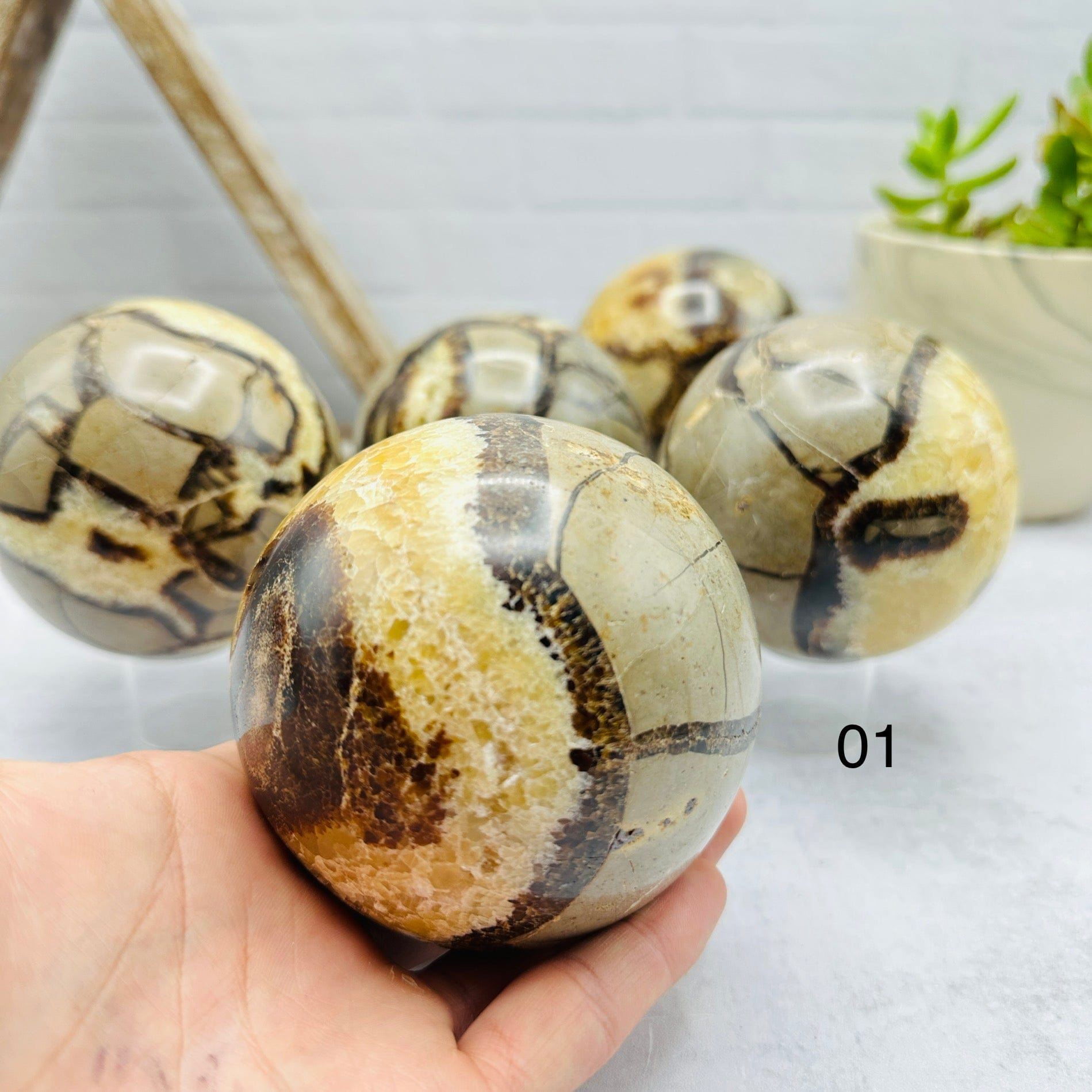 Polished Septarian Sphere - You Choose